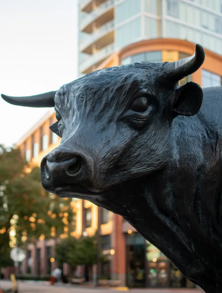 head of bull statue in downtown Durham, NC