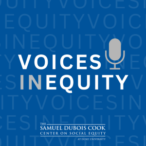 voiceinequity